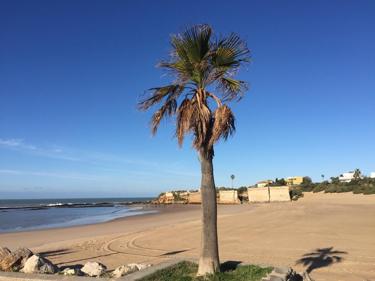 Apartamento Pueblo Marinero Puerto Sherry เอลปูแอร์โต เด ซานตามาริอา ภายนอก รูปภาพ